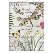Vintage Dragonflies notecard