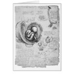 Vintage drawing of a foetus in the uterus 1 cards