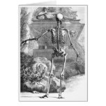 Vintage drawing of a rear facing skeleton cards