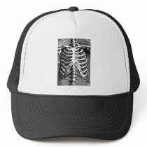 Vintage drawing of a ribcage