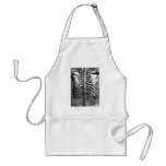 Vintage drawing of a spine and ribcage aprons