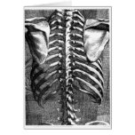 Vintage drawing of a spine and ribcage greeting card