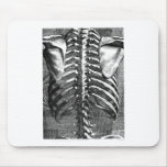 Vintage drawing of a spine and ribcage mousepads