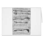 Vintage drawing of arm structure cards