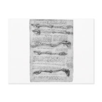 Vintage drawing of arm structure