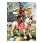 Vintage Easter Bunny Postcard