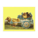 Vintage Easter Chicks in Egg of Violets postcards