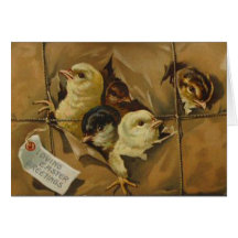 Vintage Easter Greetings (Package of Chicks) Greeting Cards