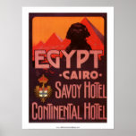 Vintage Egypt Hotel Poster posters