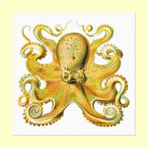 Vintage Ernst Haeckel Octopus in Yellow canvas prints