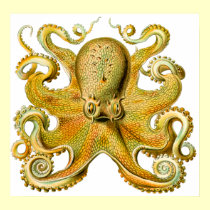 Vintage Ernst Haeckel Octopus in Yellow posters