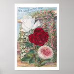 Vintage Ever-Blooming Roses posters