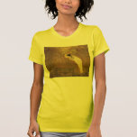 Vintage Fairy "Iris, Spirit of the Rainbow" Shirt