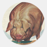 Vintage Farm Animals, Pig Eating Slop at a Trough Round Stickers