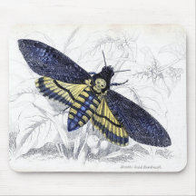 Vintage Floral Deaths Head Hawkmoth Mousemat