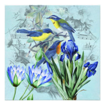 Vintage Floral Songbirds Apparel and Gifts Personalised Announcement