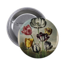 Vintage Floral Tulip Painting Buttons