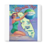 vintage florida magnets