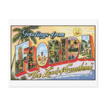 Vintage Florida Postcard