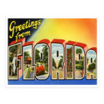 Vintage Florida Postcard