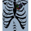 vintage flower heart, rib cage t-shirts