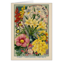 Vintage Flower Seed Catalogue Card