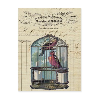 Love Birds Vintage