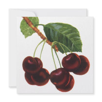 Vintage Fruit; Cherries on a Branch Personalized Invite