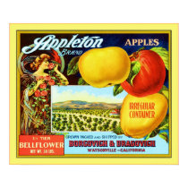 Vintage Fruit Crate Lable posters