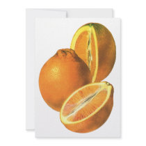 Vintage Fruit; Oranges Custom Announcements