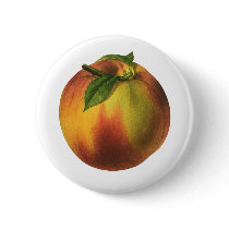 Vintage Fruit; Peach Button