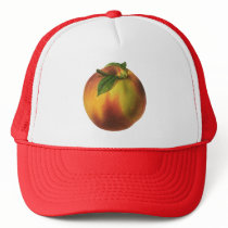 Vintage Fruit; Peach Hat