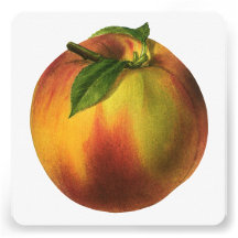 Vintage Fruit; Peach Personalized Invitations
