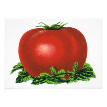 Vintage Fruits and Vegetables; Red Ripe Tomato Invites