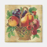 Vintage Fruits Magnet