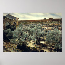 Vintage Garden of Gethsemane Jerusalem Israel Posters