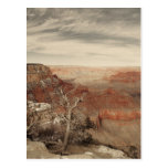 Vintage Grand Canyon Post Card