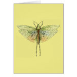Vintage Grasshopper Print cards