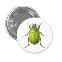 Vintage Green Beetle Buttons