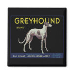 Vintage Greyhound Lemon Label Circa 1920 Fridge Magnets