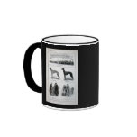 Vintage Greyhound News Clipping mugs