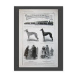 Vintage Greyhound News Clipping postcards
