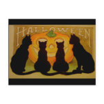 Vintage Halloween Black Cats and Jack O'Lantern postcards