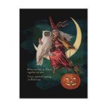 Vintage Halloween Owl and Witch Postcard