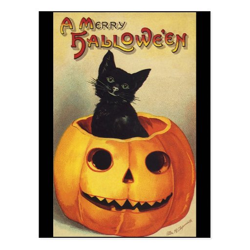 Vintage Halloween Smiling Cute Black Cat Pumpkin Postcard
