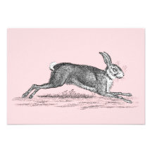 Vintage Hare Bunny Rabbit Illustration - Rabbits Personalized Invite