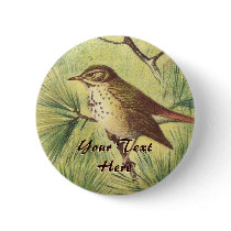 Vintage Hermit Thrush Button