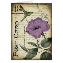 Vintage Hibiscus Hummingbird Greeting Cards