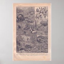 VIntage historicn America  1920 Poster