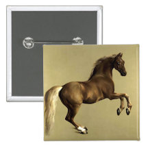 Vintage Horse Art:  Whistlejacket Pins